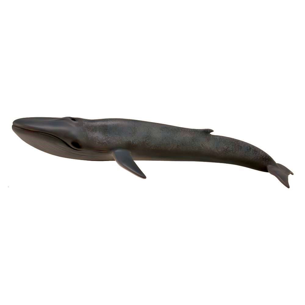 Blue Whale Figurine CollectA XL