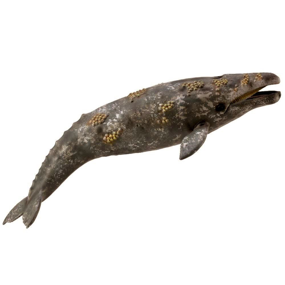 Gray Whale Figurine CollectA XL