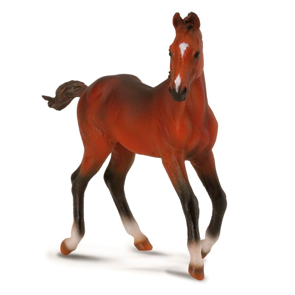 CollectA - Quarter Horse Foal Bay Figurine (M)