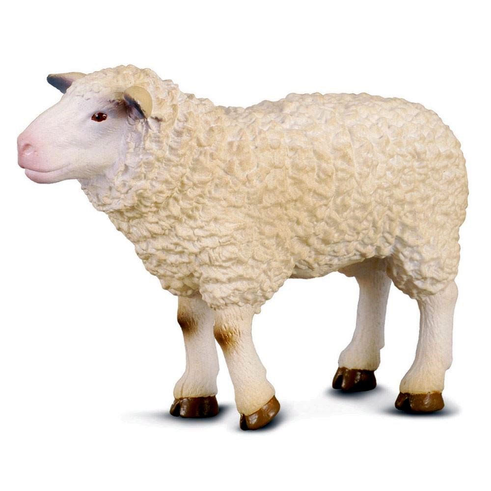 Sheep Figurine CollectA M