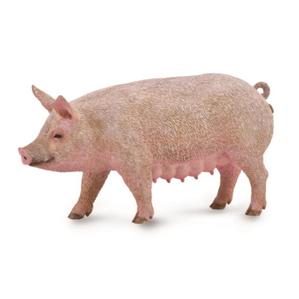 Sow Figurine CollectA M