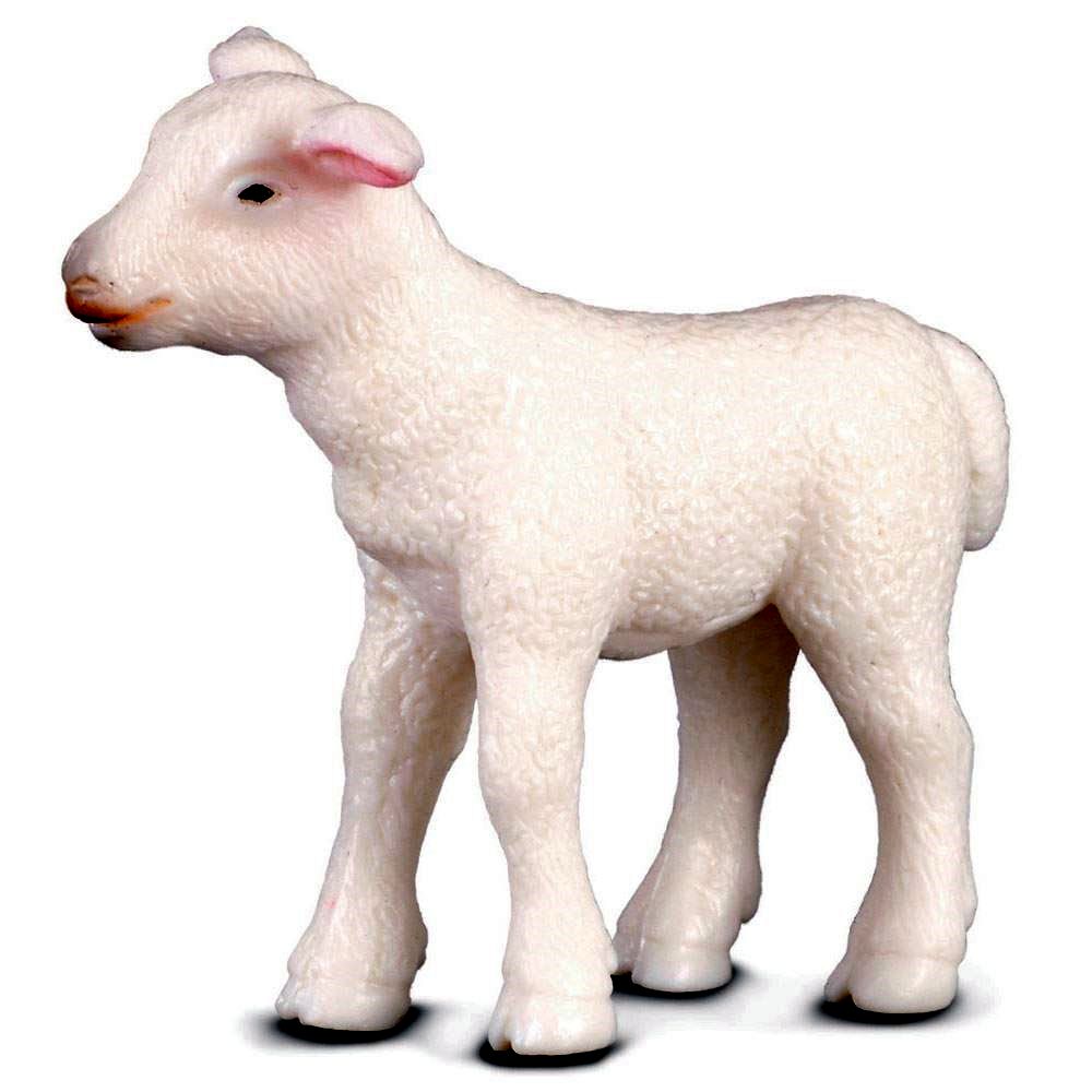Lamb Standing Figurine CollectA S