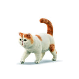 Exotic Shorthair Figurine CollectA S