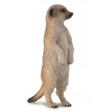 Meerkat Standing Figurine CollectA S