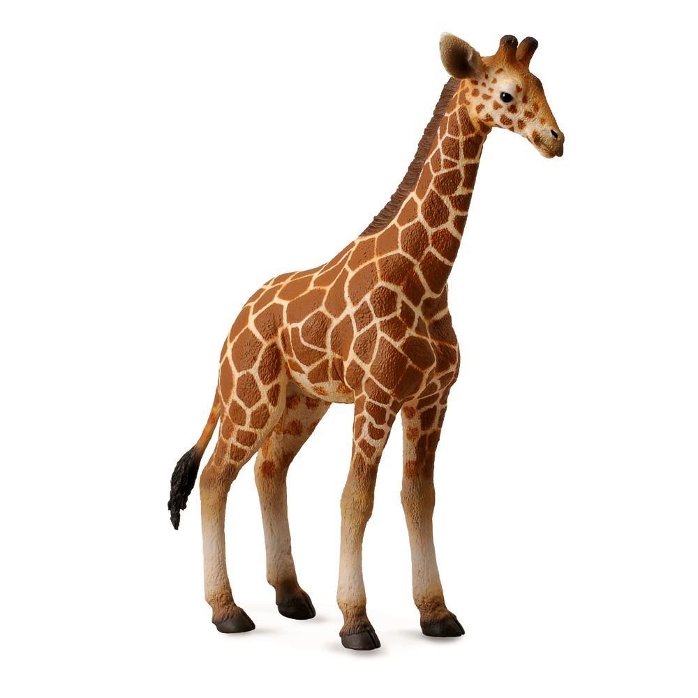 Reticulated Giraffe Calf Figurine CollectA L