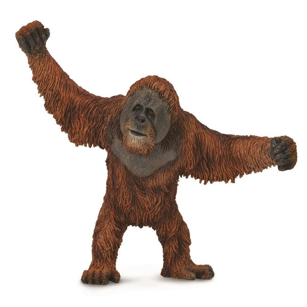 Orangutan Figurine CollectA L