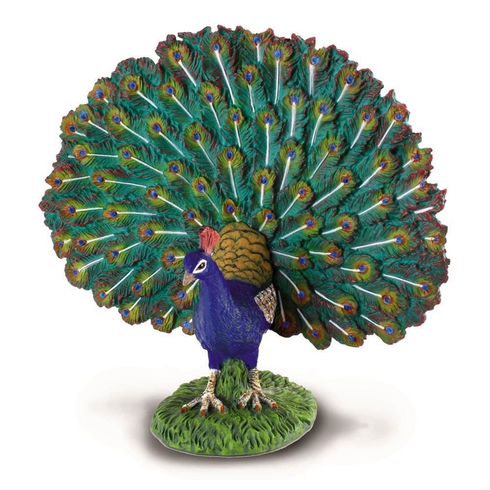 Peacock Figurine CollectA L