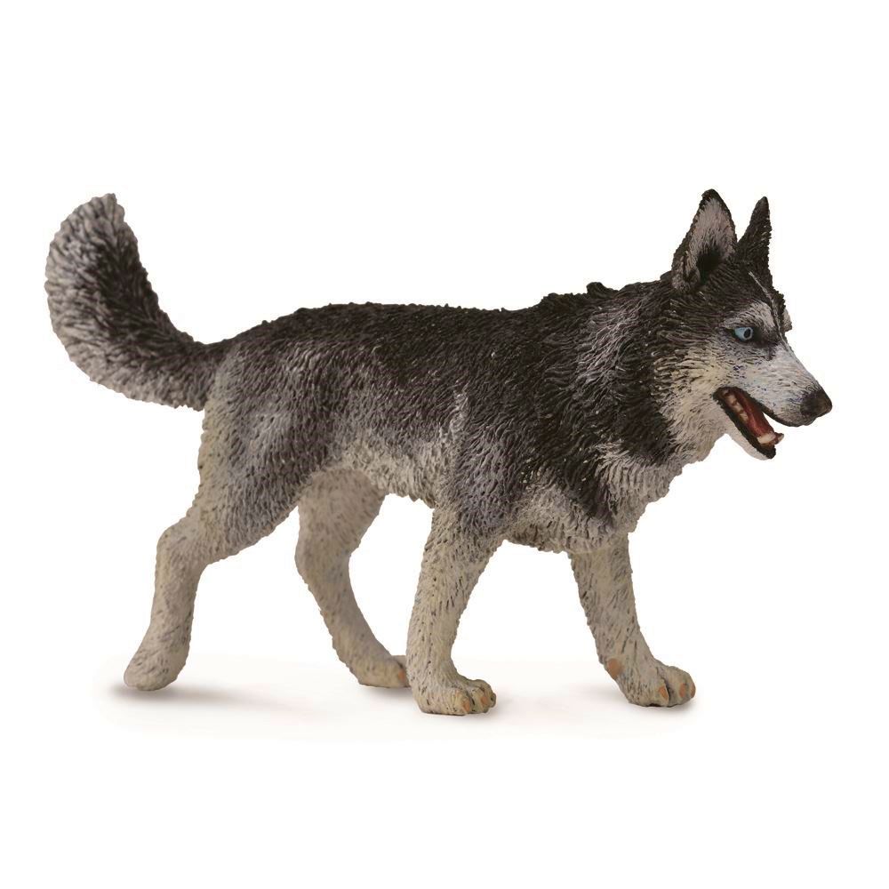 Siberian Husky Figurine CollectA L