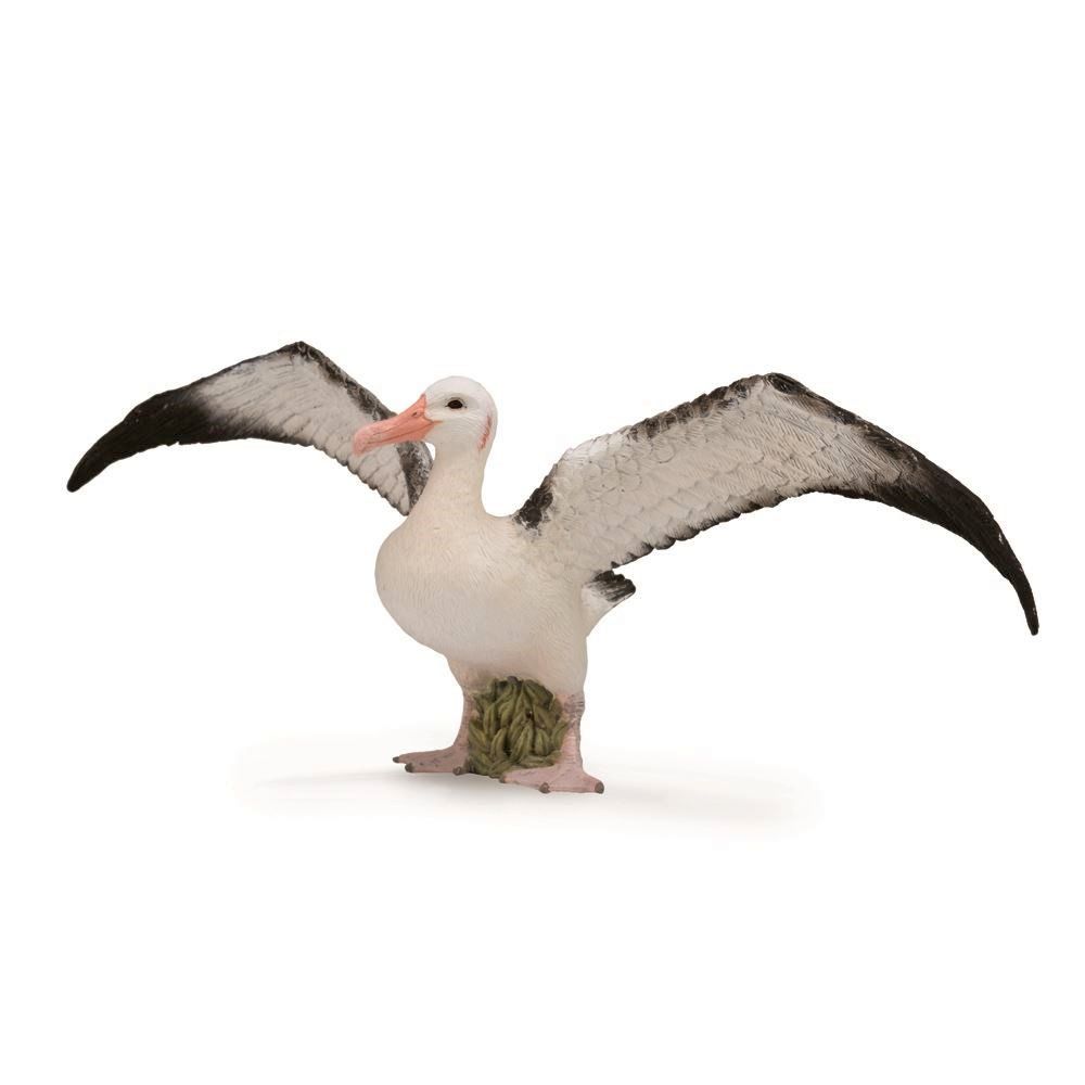 CollectA - Wandering Albatross Figurine (L)