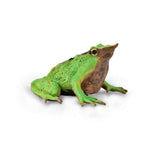 Darwin's Frog Figurine CollectA M
