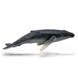 Humpback Whale Calf Figurine CollectA M