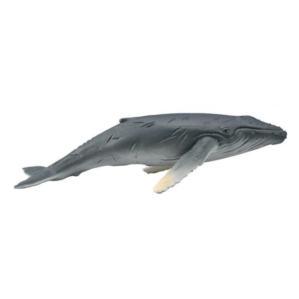 Humpback Whale Calf Figurine CollectA M
