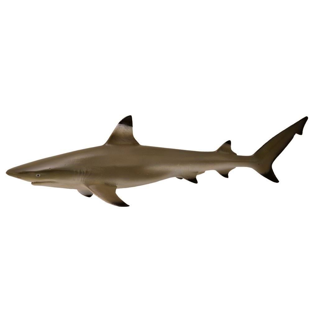 Blacktip Reef Shark Figurine CollectA M