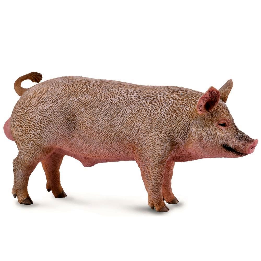 Boar Figurine CollectA M
