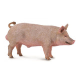 Boar Figurine CollectA M