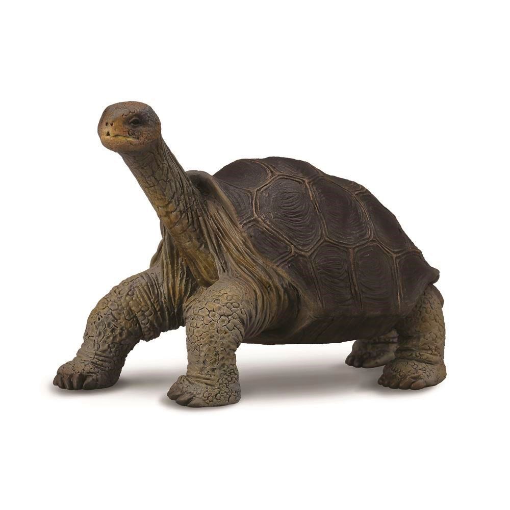 CollectA - Pinta Island Tortoise George Figurine (M)