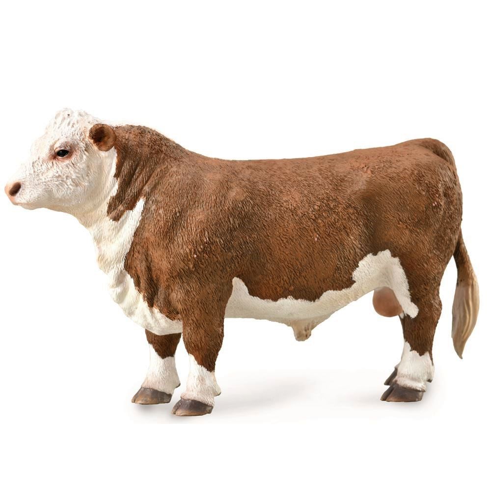 Hereford Bull-Polled Figurine CollectA L