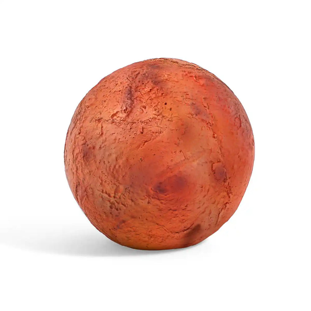 Mars Dig Kit