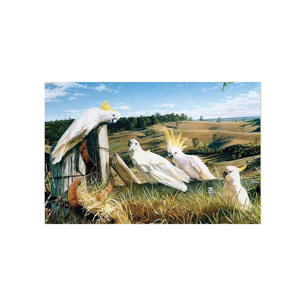 Brolly - Garry Fleming Sulphur Crested Cockatoo 1000 Piece - Jigsaw Puzzle
