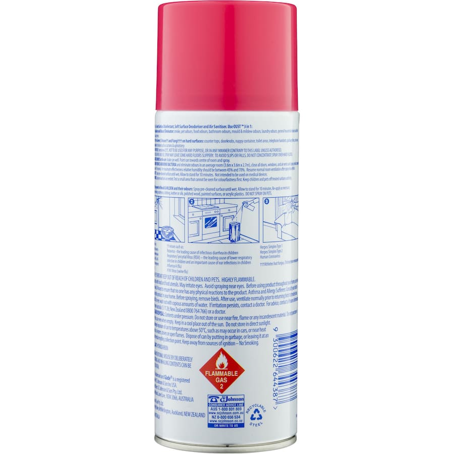 Oust 3n1 Aerosol Surface Spray 3in1 Disinfectant Garden Fresh 325g