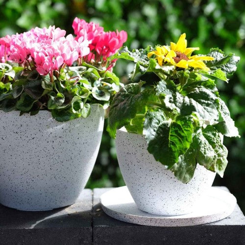 Pot - Nova Medium White 29 x 22cm (Set of 2)