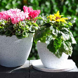 Pot - Nova Medium White 29 x 22cm (Set of 2)