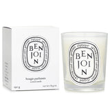Diptyque - Scented Candle - Benjoin  - 190g/6.5oz