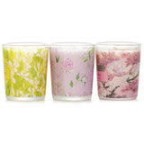 Elegant votive candle set featuring Sakura, Jasmine, Rose & Cranberry, and Ginger Lily scents in recycled glass jars.