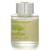 Mini diffuser with natural sola wood flowers, infused with sea moss, coastal redwoods, and vetiver scents, in eco-friendly packaging.