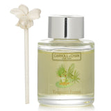 Mini diffuser with sea moss, coastal redwoods, and vetiver; ideal for small spaces, lasting up to 3 weeks with natural reeds.