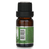 Fragrance oil in 10ml bottle, capturing the fresh scent of a tropical forest with notes of sea moss and redwood.