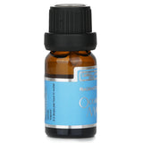 Breeze-inspired Carroll & Chan Ocean Mist fragrance oil in a 10ml bottle for a refreshing home ambiance.