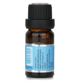 Carroll & Chan Ocean Mist fragrance oil, 10ml, captures the serene scent of a seaside breeze for a refreshing home ambiance.