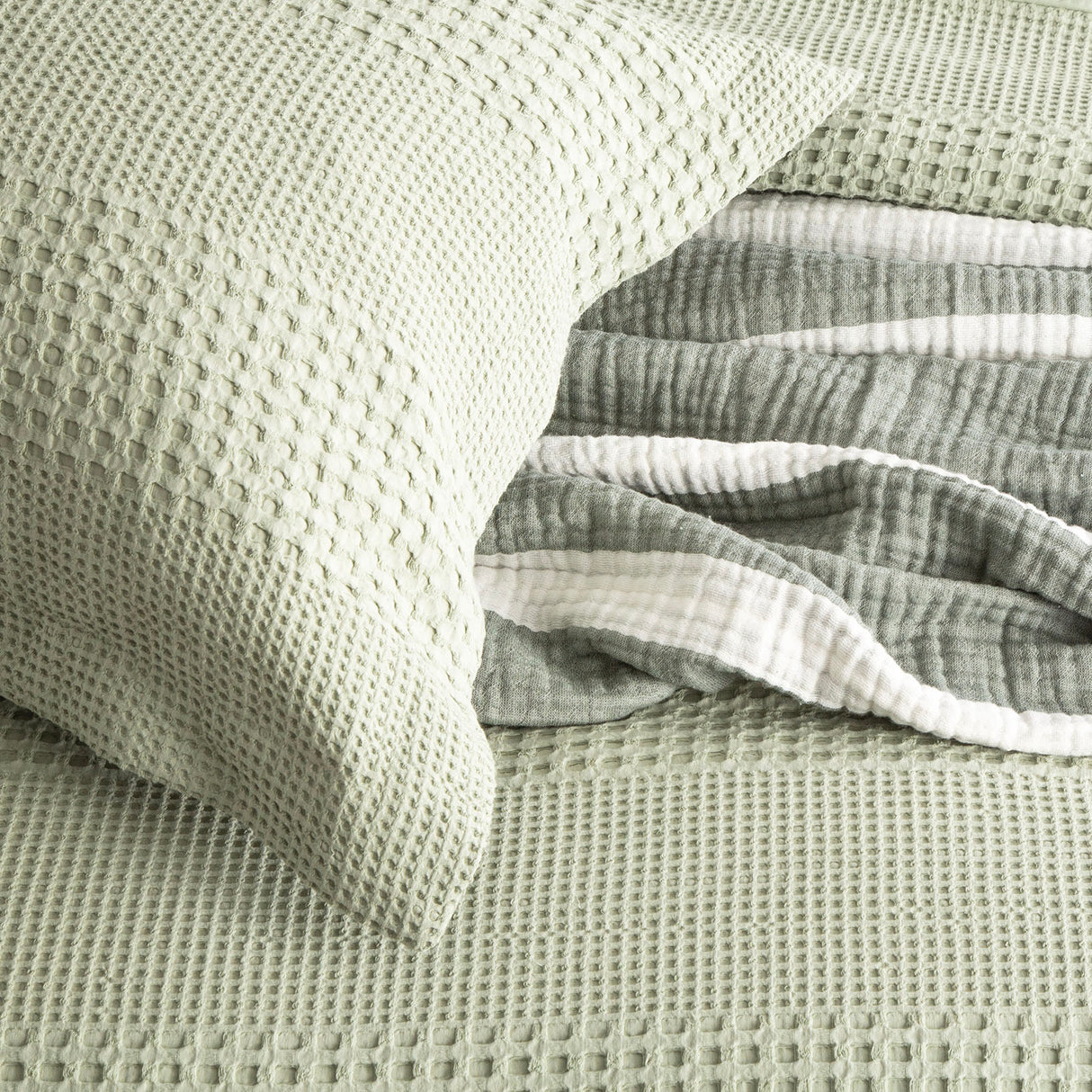 Renee Taylor Elegance Waffle Cotton Jacquard Euro Pillowcase Moss