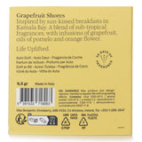 Max Benjamin Grapefruit Shores car fragrance refill, offering a fresh citrus scent inspired by tropical beach mornings.