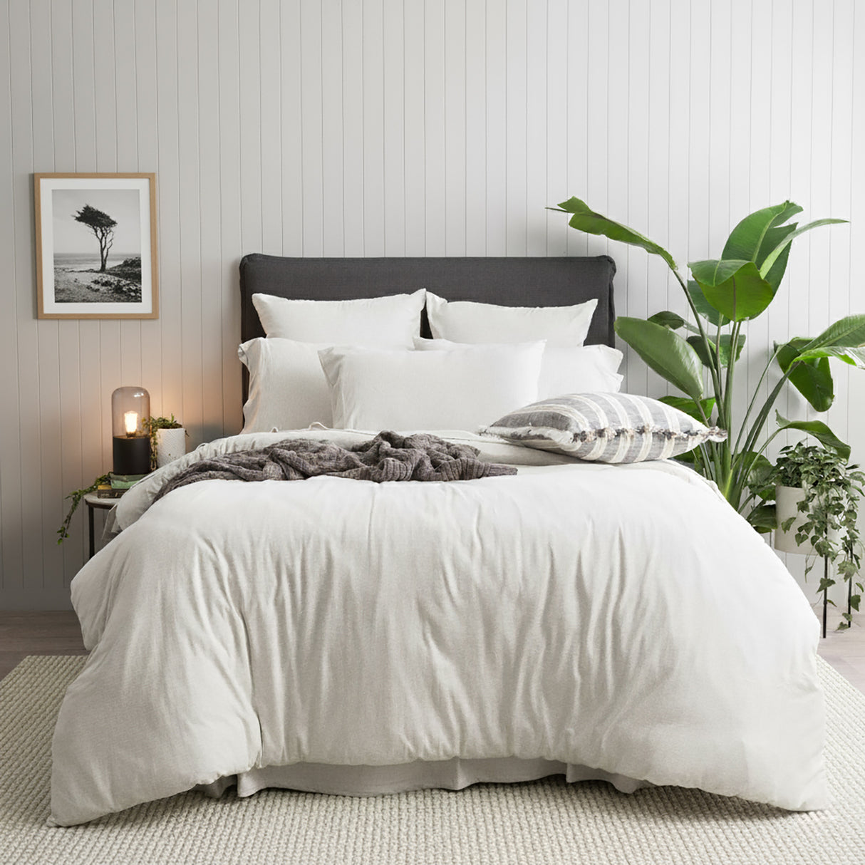 Renee Taylor Comfort Organic Cotton Euro P/Case Ecru