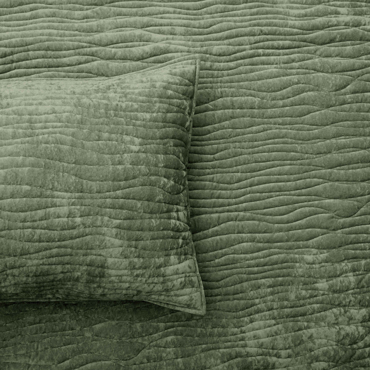 Renee Taylor Blake Velvet Coverlet Set Queen/King Military