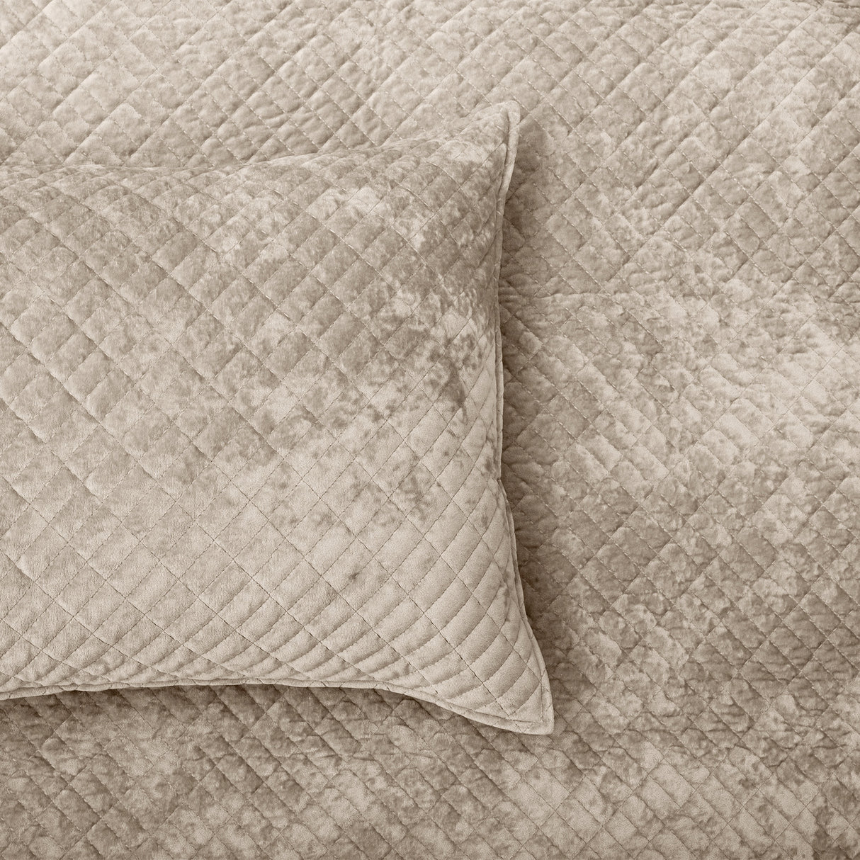 Renee Taylor Archie Cross Stitch Velvet Coverlet Set Queen/King Nude