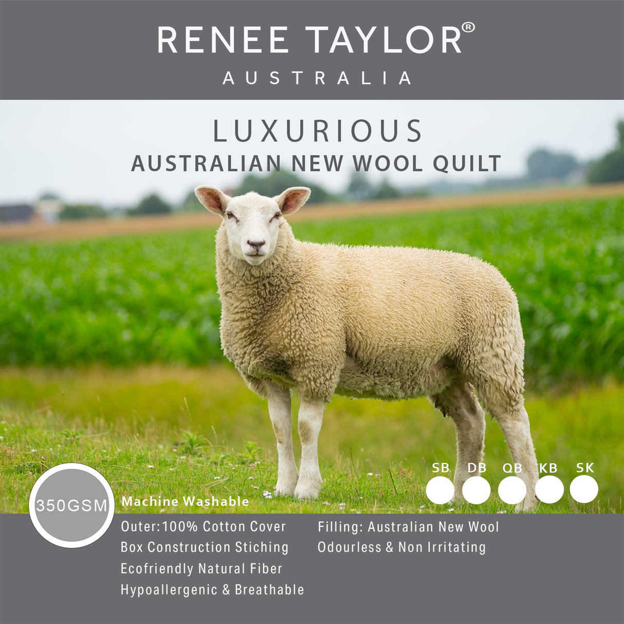 Renee Taylor Luxurious Australian Wool Quilt 350 GSM Queen