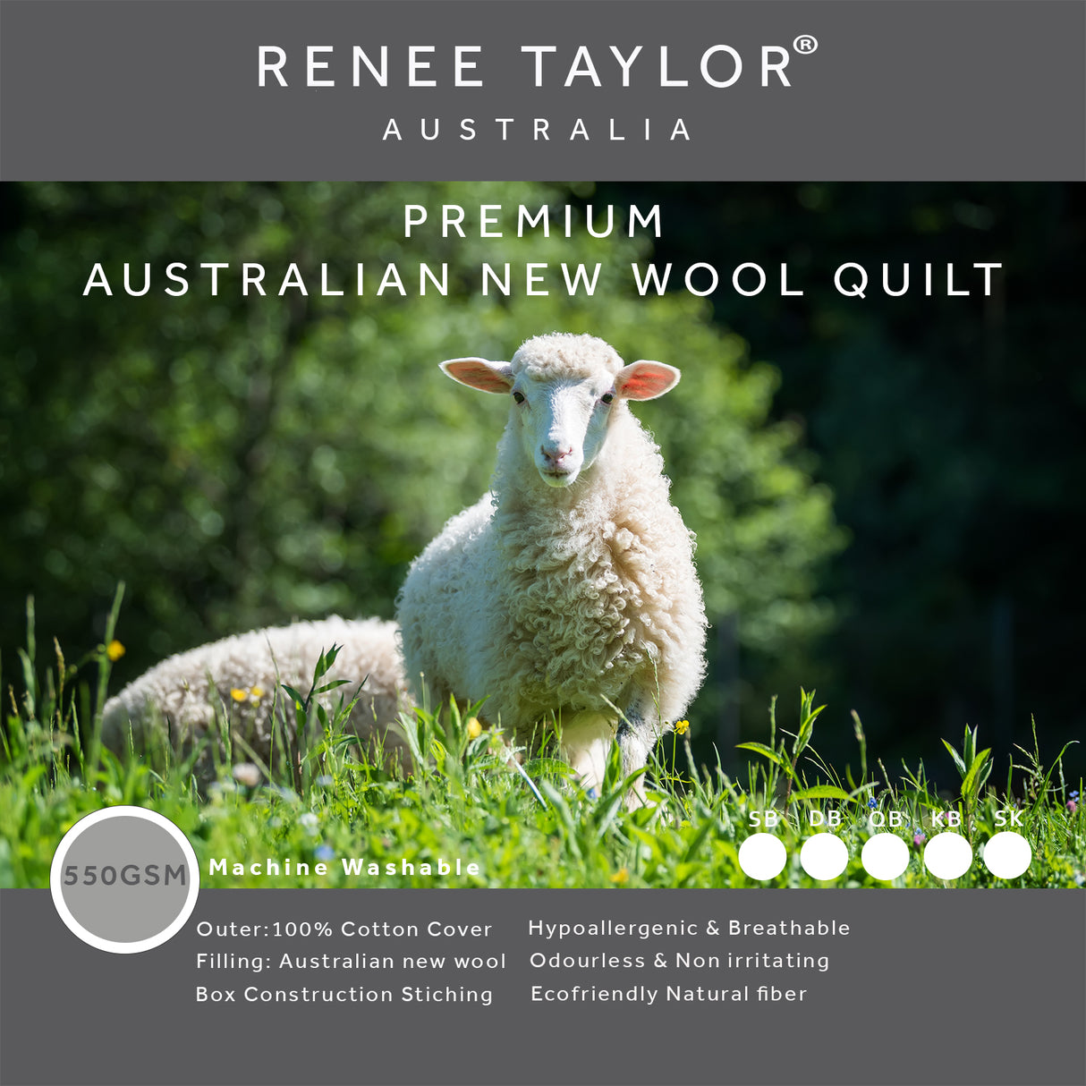 Renee Taylor Premium Australian Wool Quilt 550 GSM King