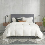 Renee Taylor Premium Australian Wool Quilt 550 GSM Double