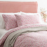 Park Avenue 175 GSM Egyptian Cotton Flannelette Quilt Cover Set King Ditty