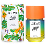 Loewe Paula's Ibiza Eclectic Eau De Toilette, 100ml, vibrant citrus-floral scent inspired by Ibiza's lively summer spirit.