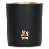 Noble Isle Willow Song Single Wick Candle in elegant packaging, 200g, offers soothing willow fragrance for a tranquil atmosphere.