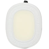 Diptyque Roses Scented Oval in elegant 35g design, releasing a delicate fragrance of fresh roses for any cherished space.