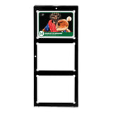 Ultra Pro: UP15113 35PT 3-Card Black Border UV ONE-TOUCH Magnetic Holder