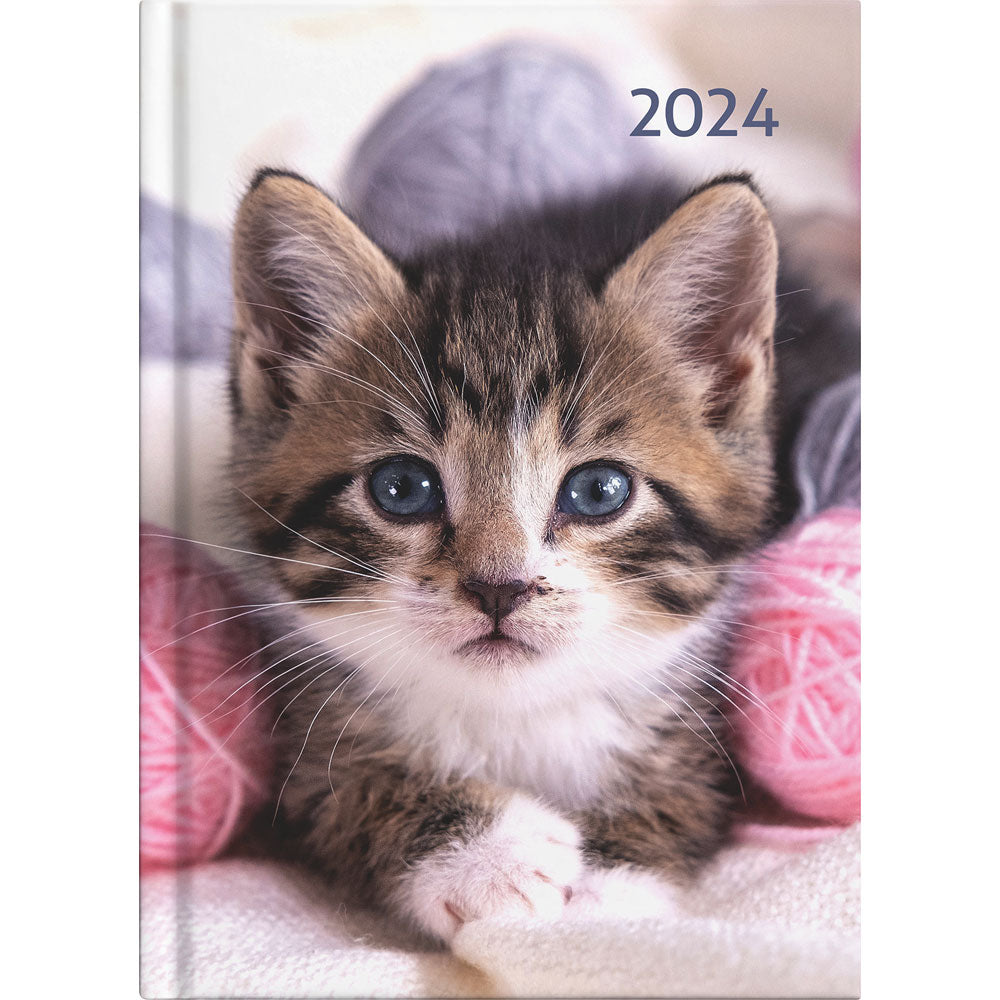 Collins A51 Cats & Dogs Day to Page Diary Even Year