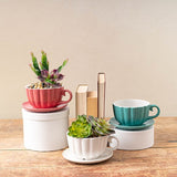 Vase /Planter - Ceramic Tea Cup Pot Saucer Drainage Hole Pink