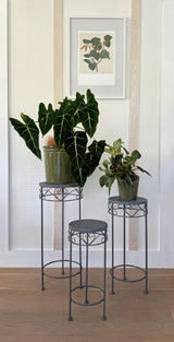 Plant Stand Set/3 - Belle Époque (2 Sets)