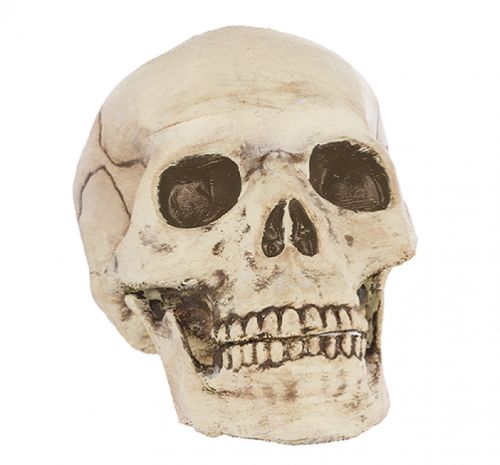 Plastic Skull  - Jointed Mouth Head - 15cm High x 12cm Wide x 19cm Deep